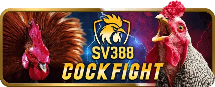 Khu vực câu hỏi thường gặp về 3333win nổ hũ